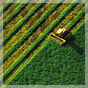 Оригинальный рекламный модуль формата 77х303 мм в журнал «Новое сельское хозяйство» для Отдела точного земледелия компании НАВГЕОКОМ